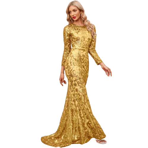 Robe de Soirée Grande Taille